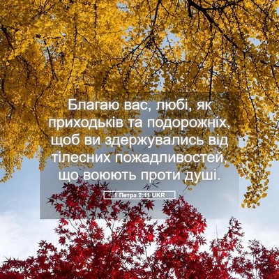 Picture 05 - 1 Петра 2:11 UKR - Благаю вас, любі, як - Bible Verse Picture