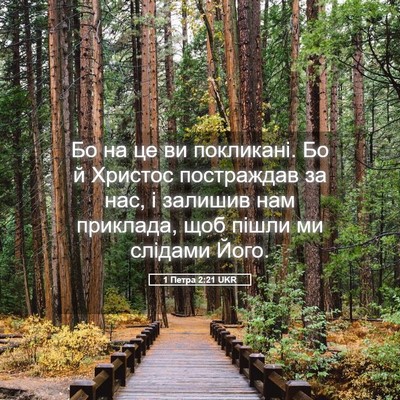 Picture 05 - 1 Петра 2:21 UKR - Бо на це ви покликані. Бо й - Bible Verse Picture