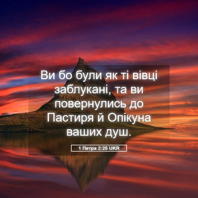 Picture 05 - 1 Петра 2:25 UKR - Ви бо були як ті вівці - Bible Verse Picture