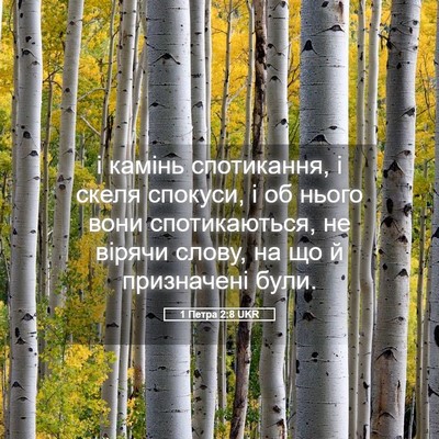Picture 05 - 1 Петра 2:8 UKR - і камінь спотикання, і - Bible Verse Picture