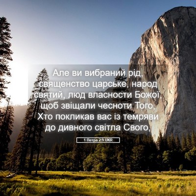 Picture 05 - 1 Петра 2:9 UKR - Але ви вибраний рід, - Bible Verse Picture