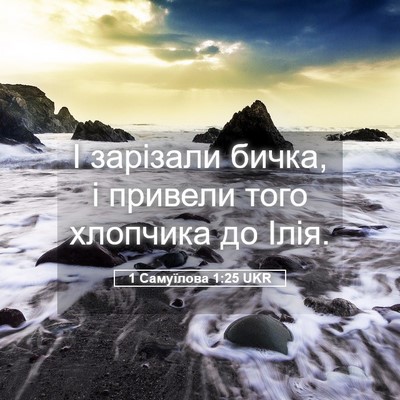 Picture 05 - 1 Самуїлова 1:25 UKR - І зарізали бичка, і привели - Bible Verse Picture