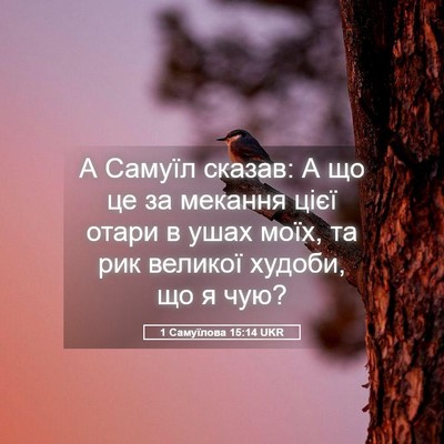 Picture 05 - 1 Самуїлова 15:14 UKR - А Самуїл сказав: А що це за - Bible Verse Picture
