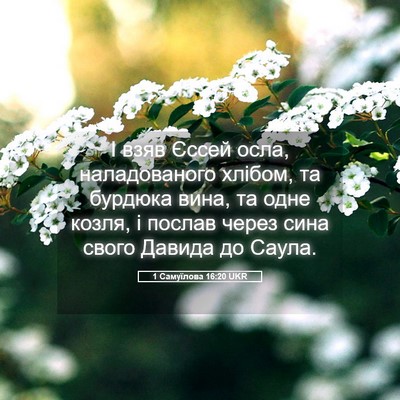 Picture 05 - 1 Самуїлова 16:20 UKR - І взяв Єссей осла, - Bible Verse Picture
