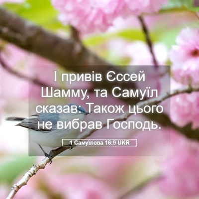 Picture 05 - 1 Самуїлова 16:9 UKR - І привів Єссей Шамму, та - Bible Verse Picture