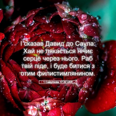 Picture 05 - 1 Самуїлова 17:32 UKR - І сказав Давид до Саула: - Bible Verse Picture