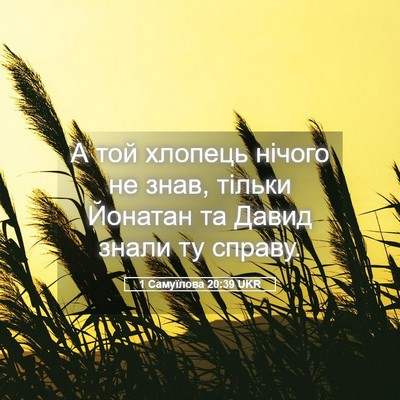 Picture 05 - 1 Самуїлова 20:39 UKR - А той хлопець нічого не - Bible Verse Picture