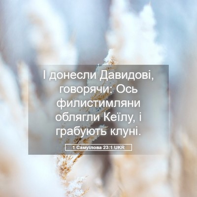 Picture 05 - 1 Самуїлова 23:1 UKR - І донесли Давидові, - Bible Verse Picture
