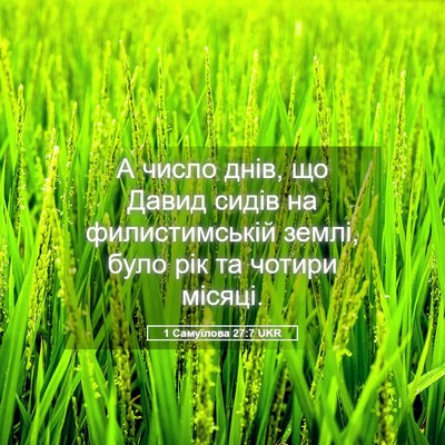 Picture 05 - 1 Самуїлова 27:7 UKR - А число днів, що Давид - Bible Verse Picture