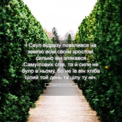 Picture 05 - 1 Самуїлова 28:20 UKR - І Саул відразу повалився - Bible Verse Picture