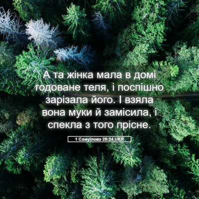 Picture 05 - 1 Самуїлова 28:24 UKR - А та жінка мала в домі - Bible Verse Picture