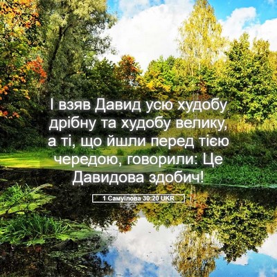 Picture 05 - 1 Самуїлова 30:20 UKR - І взяв Давид усю худобу - Bible Verse Picture