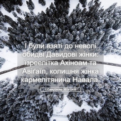 Picture 05 - 1 Самуїлова 30:5 UKR - І були взяті до неволі - Bible Verse Picture