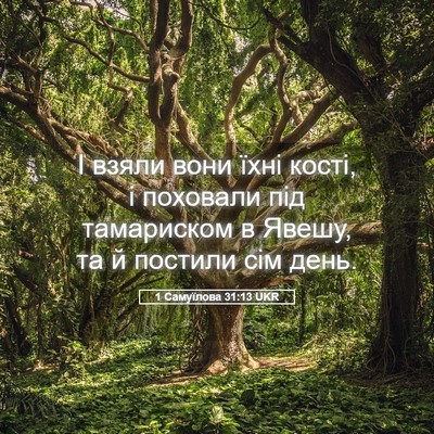 Picture 05 - 1 Самуїлова 31:13 UKR - І взяли вони їхні кості, і - Bible Verse Picture