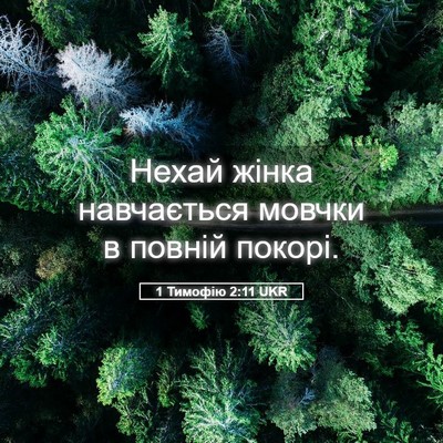 Picture 05 - 1 Тимофію 2:11 UKR - Нехай жінка навчається - Bible Verse Picture