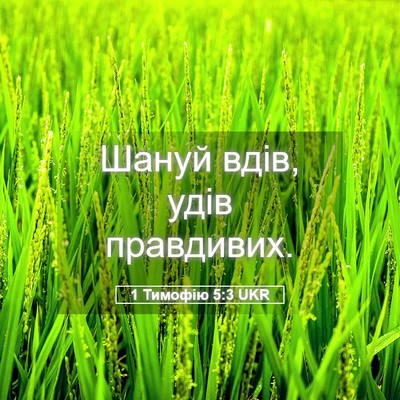 Picture 05 - 1 Тимофію 5:3 UKR - Шануй вдів, удів - Bible Verse Picture