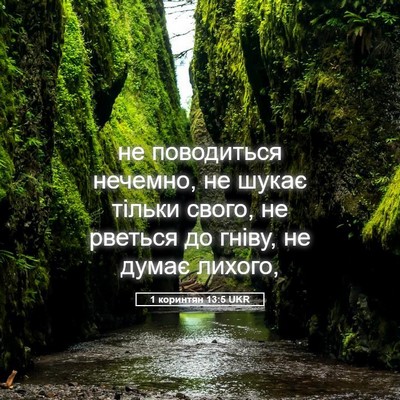 Picture 05 - 1 коринтян 13:5 UKR - не поводиться нечемно, не - Bible Verse Picture
