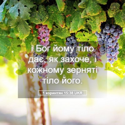 Picture 05 - 1 коринтян 15:38 UKR - і Бог йому тіло дає, як - Bible Verse Picture