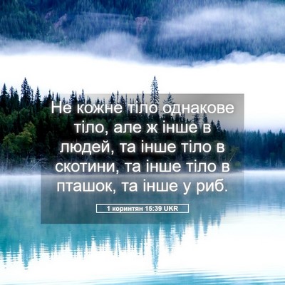 Picture 05 - 1 коринтян 15:39 UKR - Не кожне тіло однакове - Bible Verse Picture