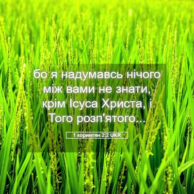 Picture 05 - 1 коринтян 2:2 UKR - бо я надумавсь нічого між - Bible Verse Picture