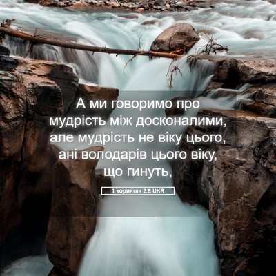 Picture 05 - 1 коринтян 2:6 UKR - А ми говоримо про мудрість - Bible Verse Picture