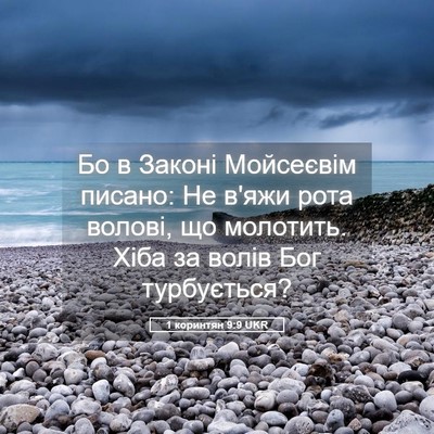 Picture 05 - 1 коринтян 9:9 UKR - Бо в Законі Мойсеєвім - Bible Verse Picture