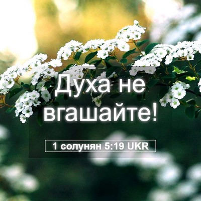 Picture 05 - 1 солунян 5:19 UKR - Духа не - Bible Verse Picture