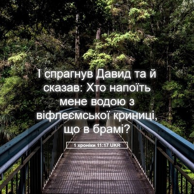 Picture 05 - 1 хроніки 11:17 UKR - І спрагнув Давид та й - Bible Verse Picture