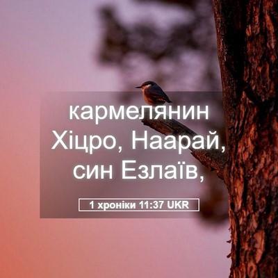 Picture 05 - 1 хроніки 11:37 UKR - кармелянин Хіцро, Наарай, - Bible Verse Picture