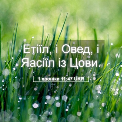 Picture 05 - 1 хроніки 11:47 UKR - Етіїл, і Овед, і Яасіїл із - Bible Verse Picture