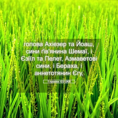 Picture 05 - 1 хроніки 12:3 UKR - голова Ахіезер та Йоаш, - Bible Verse Picture