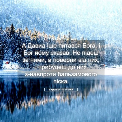 Picture 05 - 1 хроніки 14:14 UKR - А Давид іще питався Бога, і - Bible Verse Picture