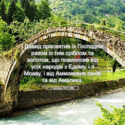 Picture 05 - 1 хроніки 18:11 UKR - І Давид присвятив їх - Bible Verse Picture