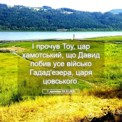 Picture 05 - 1 хроніки 18:9 UKR - І прочув Тоу, цар - Bible Verse Picture