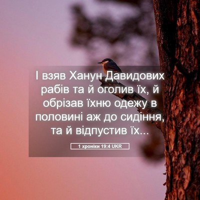 Picture 05 - 1 хроніки 19:4 UKR - І взяв Ханун Давидових - Bible Verse Picture