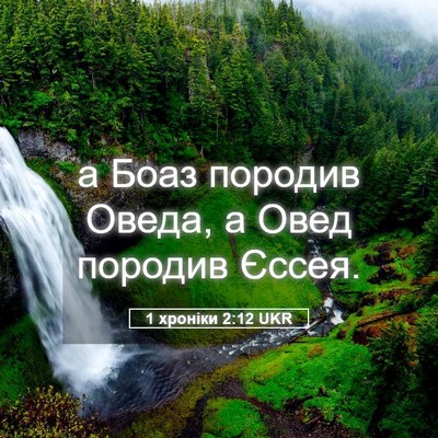 Picture 05 - 1 хроніки 2:12 UKR - а Боаз породив Оведа, а - Bible Verse Picture