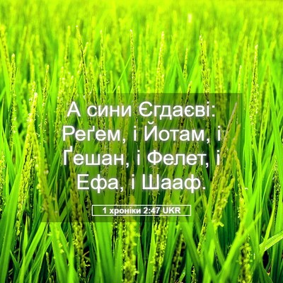 Picture 05 - 1 хроніки 2:47 UKR - А сини Єгдаєві: Реґем, і - Bible Verse Picture