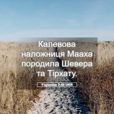 Picture 05 - 1 хроніки 2:48 UKR - Калевова наложниця Мааха - Bible Verse Picture