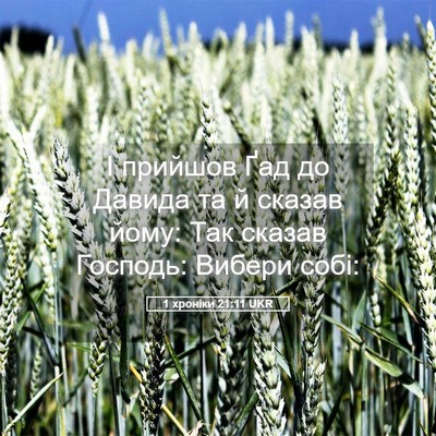 Picture 05 - 1 хроніки 21:11 UKR - І прийшов Ґад до Давида та - Bible Verse Picture