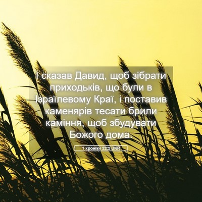Picture 05 - 1 хроніки 22:2 UKR - І сказав Давид, щоб зібрати - Bible Verse Picture