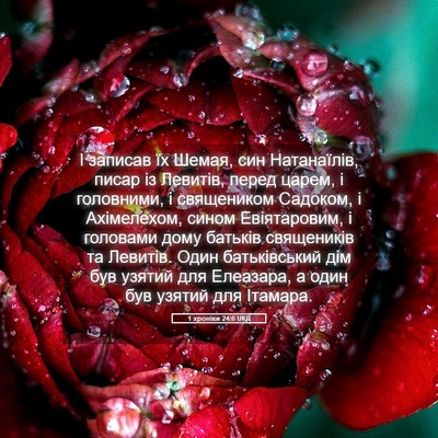 Picture 05 - 1 хроніки 24:6 UKR - І записав їх Шемая, син - Bible Verse Picture
