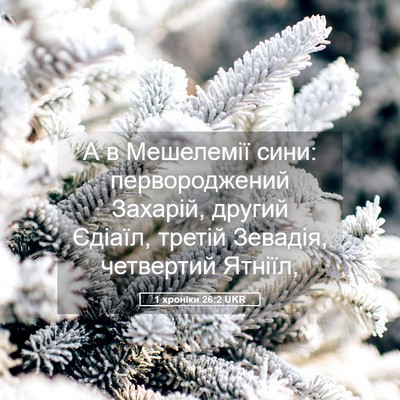 Picture 05 - 1 хроніки 26:2 UKR - А в Мешелемії сини: - Bible Verse Picture