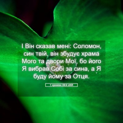 Picture 05 - 1 хроніки 28:6 UKR - І Він сказав мені: Соломон, - Bible Verse Picture