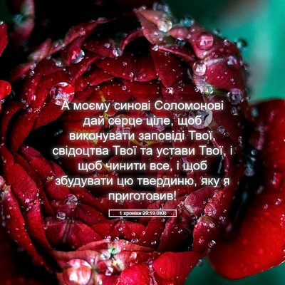 Picture 05 - 1 хроніки 29:19 UKR - А моєму синові Соломонові - Bible Verse Picture