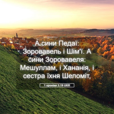 Picture 05 - 1 хроніки 3:19 UKR - А сини Педаї: Зоровавель і - Bible Verse Picture