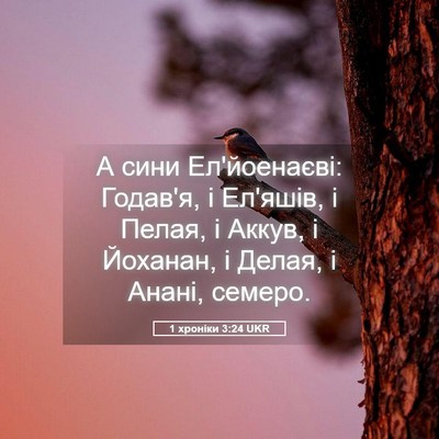 Picture 05 - 1 хроніки 3:24 UKR - А сини Ел'йоенаєві: Годав'я, - Bible Verse Picture