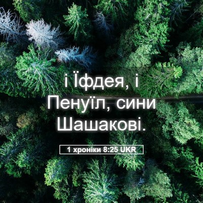 Picture 05 - 1 хроніки 8:25 UKR - і Їфдея, і Пенуїл, сини - Bible Verse Picture