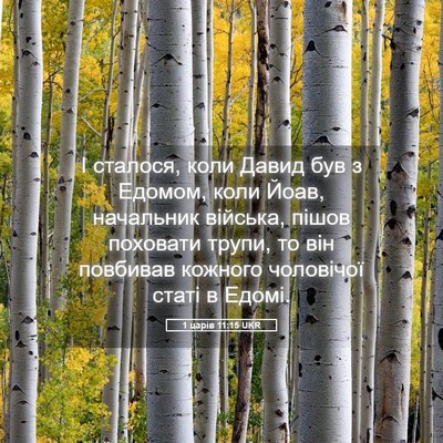 Picture 05 - 1 царів 11:15 UKR - І сталося, коли Давид був з - Bible Verse Picture