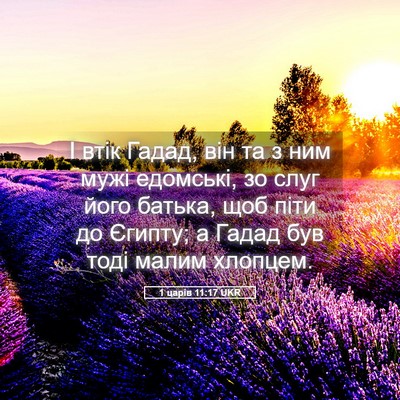 Picture 05 - 1 царів 11:17 UKR - І втік Гадад, він та з ним - Bible Verse Picture