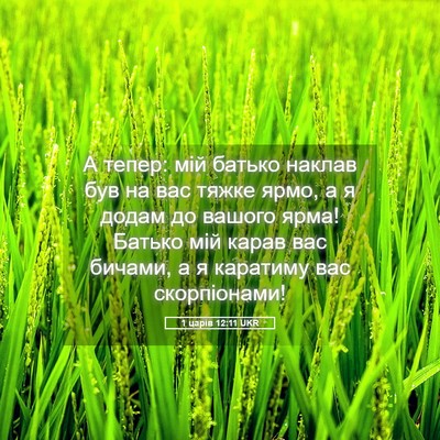 Picture 05 - 1 царів 12:11 UKR - А тепер: мій батько наклав - Bible Verse Picture